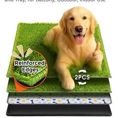 Dog potty