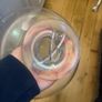 glass bowl Image 2