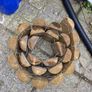 FREE Wooden Log Edging Image 2