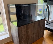 350L Marine Aquarium with cabinet & custom sump