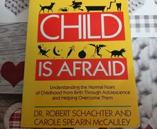 When Your Child is Afraid Robert Schachter and Carole Spearin McCauley Parenting Self Help Psychology
