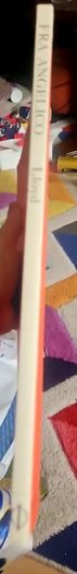 Fra Angelico - Christopher Lloyd - Phaidon Colour Library 1992