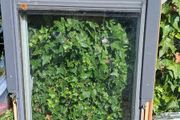 Vulex Window (skylight)