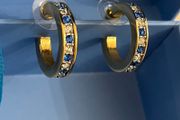 Swarovski Earrings