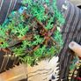 lego tree house Image 4