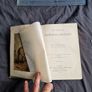 Wood's Natural History, 1893 ed. Incredible Condition. Image 9