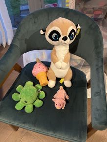 Various Soft Toys