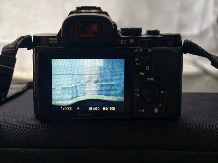 Sony a7 (1st gen) + Zuiko 50mm 1.2