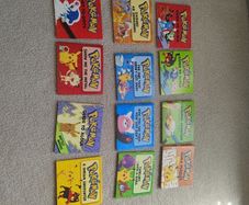 Pocket size Pokemon books and puzzles