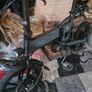 ebike fiido d2s Image 2