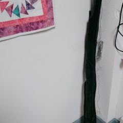 bog oak Offaly