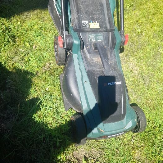lawn