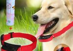 Dog Misting Bark Control Collar Wexford