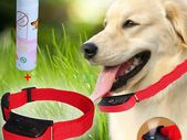 Dog Misting Bark Control Collar Wexford