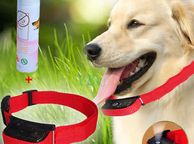 main image for ad Dog Misting Bark Control Collar Wexford