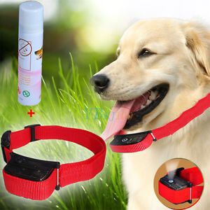 Dog Misting Bark Control Collar Wexford