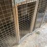 Very large dog kennel/Dog run Image 7