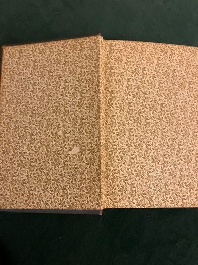 Antique Dorothy Forster by Walter Besant book