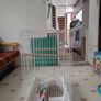 Bird Cage Image 4