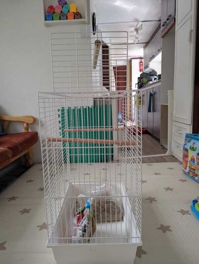 Bird Cage