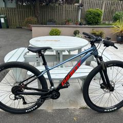 Mountain Bike 'Giant'