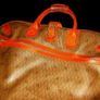 Vintage Authentic Dior Garment Bag Image 7