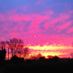 Rho27