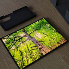 Samsung Galaxy Z TriFold
