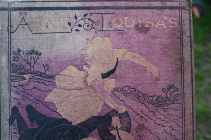 book (1873) Aunt Louisas National Album