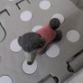 Toy dog figure Image 2