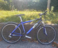 Carrera mtb