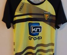 donegal gaa jersey