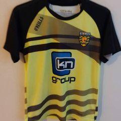 donegal gaa jersey