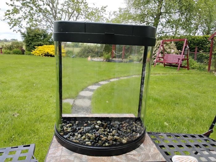 Fish Tank 19ltr