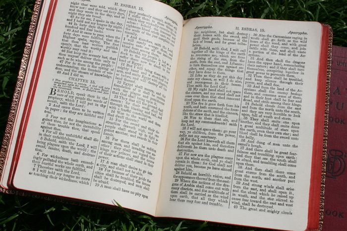 Vintage Books (20 each)