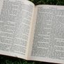 Vintage Books (20 each) Image 6
