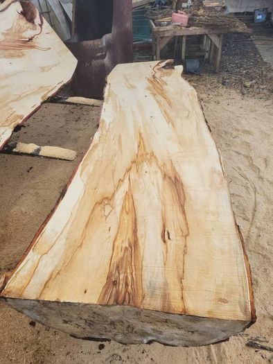 Hardwood timber
