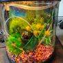 Fish Tank Image 6