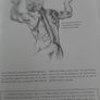 New Drawing book for every artist Image 6