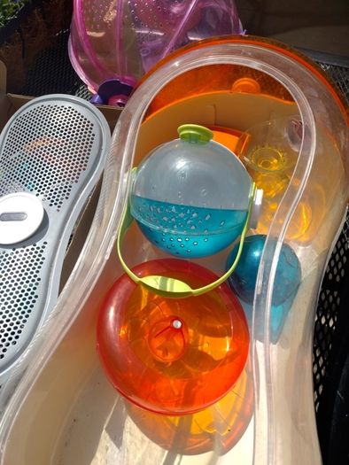 Hamster cage