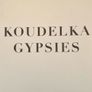 Small photo book collection Dubliners Tony O'Shea Gypsies  Koudelka Krass Clement Image 3