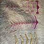 TED BAKER hangers for baby girl Image 3