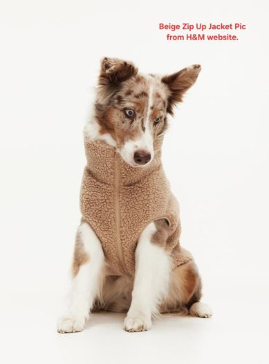 Premium bundle of H and M dog accessories in excellent condition. Perfect for a small dog.