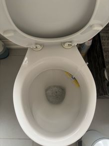 toilet