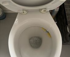 toilet