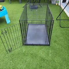 Large dog crate