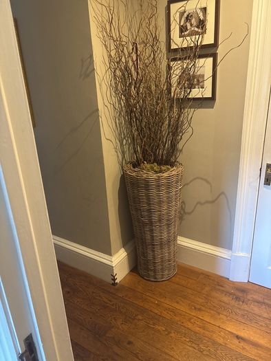 Very tall rattan planter with contorted willow
