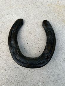 vintage lucky horse shoe
