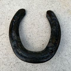 vintage lucky horse shoe