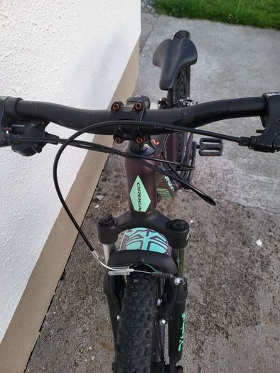 Orbea MX24 bike